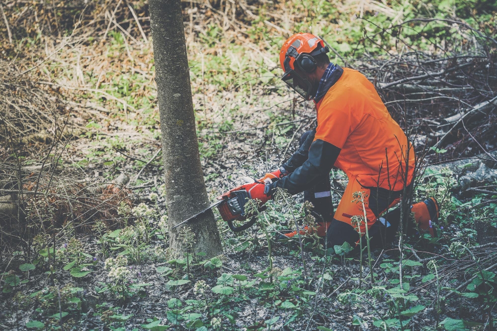 Medewerker Groenvoorziening