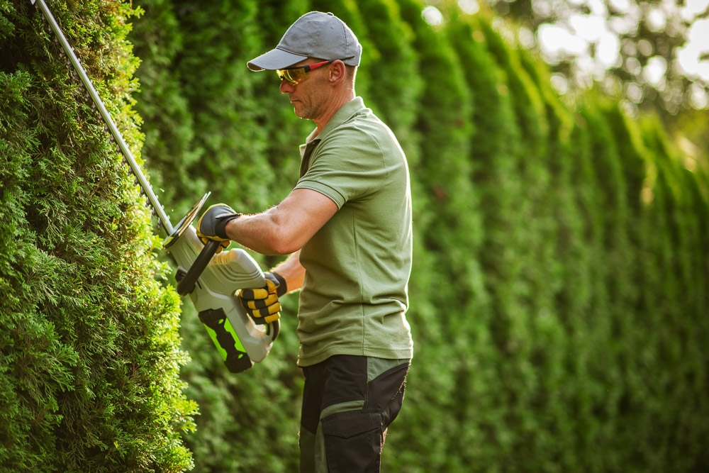 Medewerker Groenvoorziening